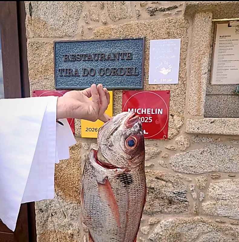 Pescado fresco a la entrada de Tira do Cordel
